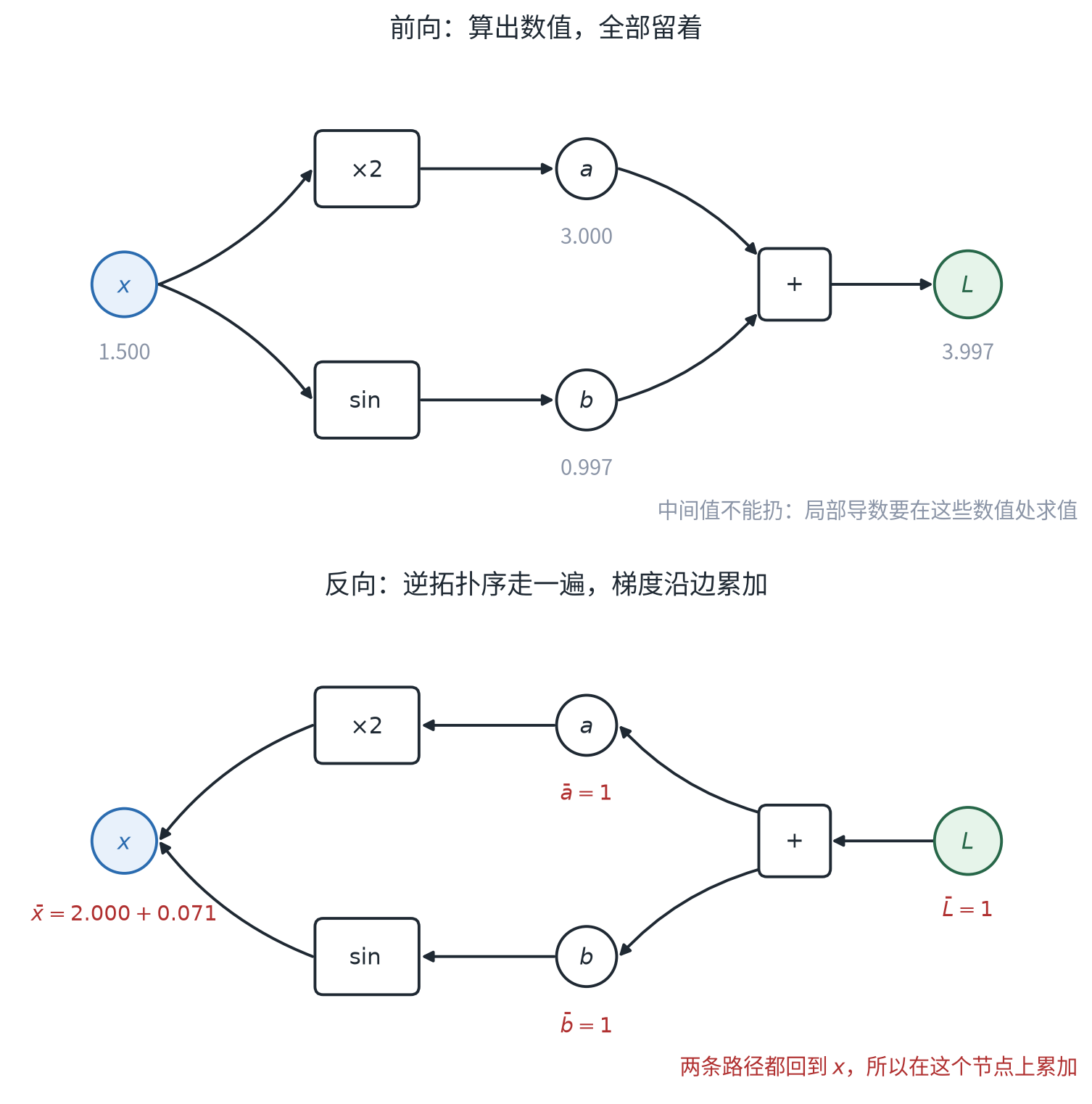 前向与反向