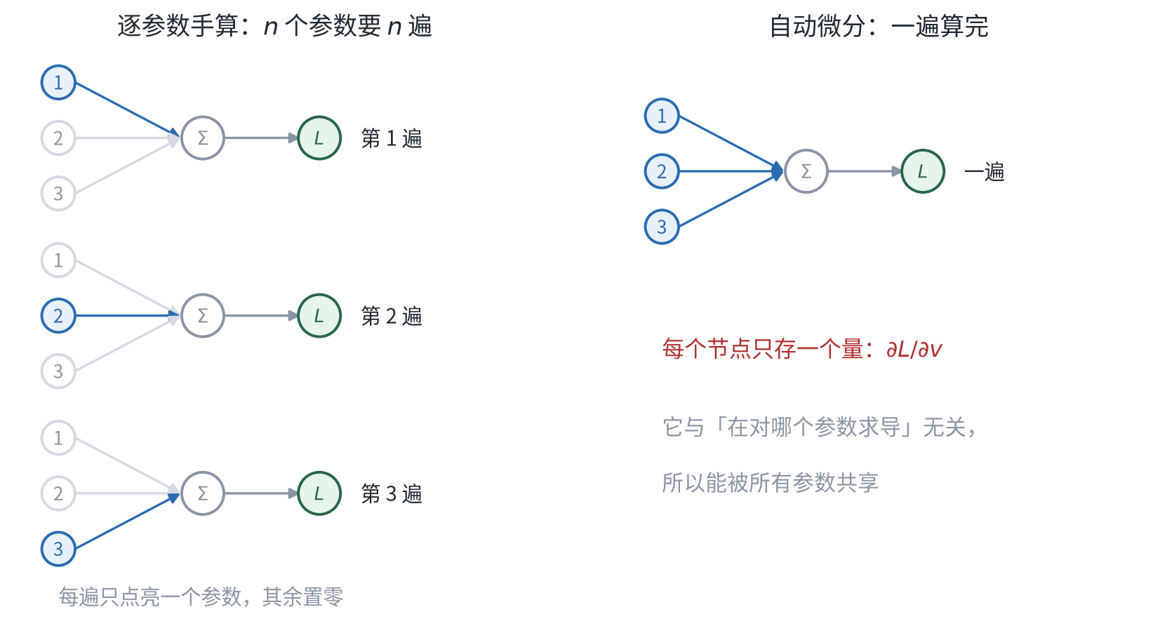 逐参数手算与自动微分
